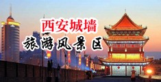 黄色VA一级操逼电影中国陕西-西安城墙旅游风景区